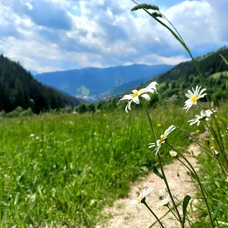 Stoffenhof * Zell am See