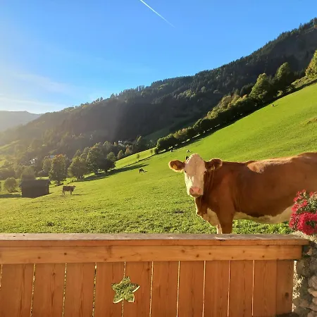 Stoffenhof 아파트 *