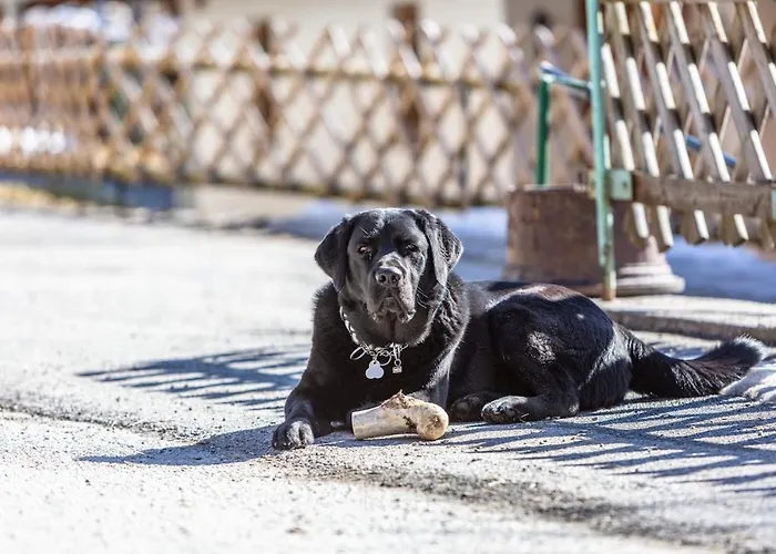 Stoffenhof 아파트 젤암제