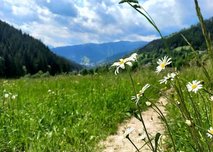 Stoffenhof * 젤암제