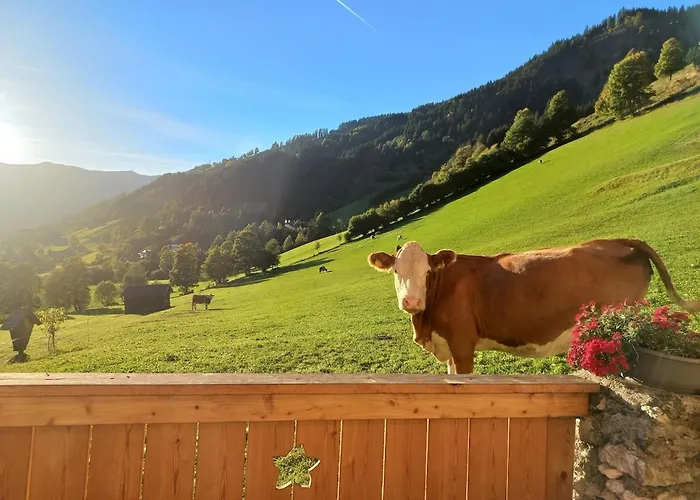 Stoffenhof 아파트 *