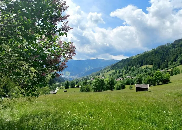 Stoffenhof * 젤암제