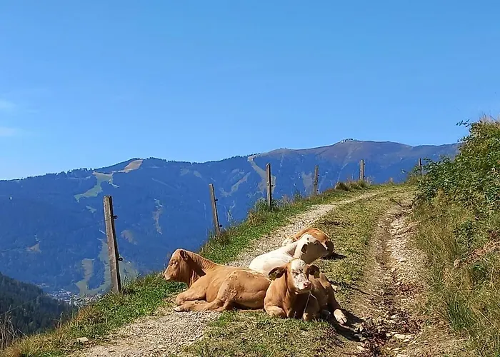 Stoffenhof * Zell am See
