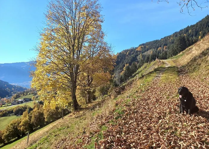 Stoffenhof Apartman